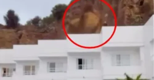 Un acantilado se derrumba sobre un hotel de Ibiza frente a los gritos de los turistas mientras una megatormenta azota la isla española. Cientos de huéspedes se vieron obligados a evacuar el hotel.