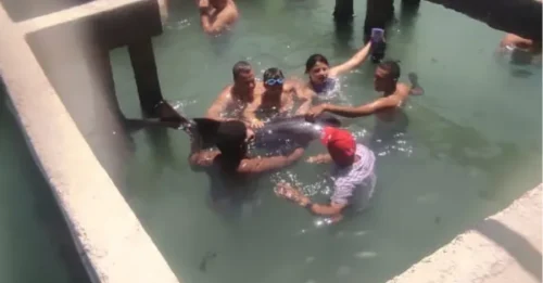 Un niño de 14 años casi pierde su mano en un brutal ataque de tiburón en un famoso acuario callejero donde los turistas nadan con animales.