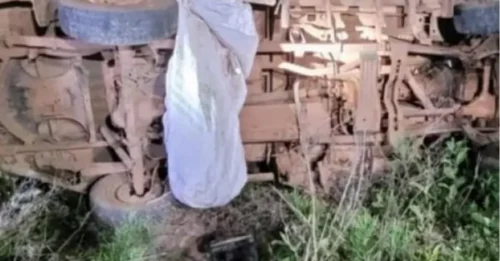 Abejas pican hasta la muerte a padre e hija después de que ella chocara su camión contra una colmena