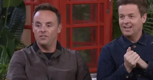 'I'm A Celebrity' Red Rocked: Dec Shows Up, But Ant's Shocking Absence Is The Real Headline!
