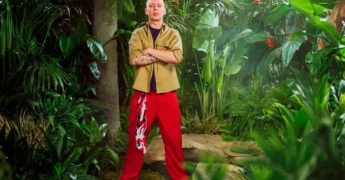 'LOVE ISLAND? NO THANKS!' The Shocking Revelation from an I'm A Celebrity Star That Has Everyone Talking!