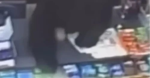 Momento de terror: un feroz oso negro persigue a un niño de 11 años que grita dentro de una tienda antes de saltar sobre el mostrador para atacarlo.