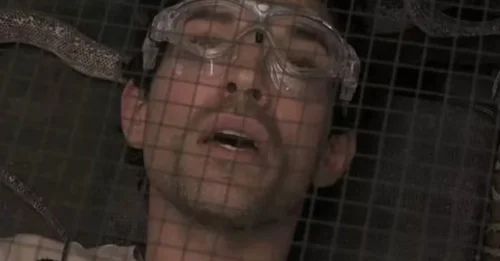 THE CRAZIEST CHALLENGE IN HISTORY? - 'I'm A Celebrity' Viewers Are Left Gasping, Constantly Asking 'HOW' as Their Idol Does the UNTHINKABLE.