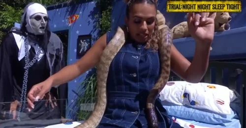 UNBELIEVABLE! I'm A Celeb Host 'ATTACKED' By Giant Snake Live On Air - Her Reaction Was PURE GOLD!