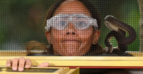 FATAL FLAW: 'I'm too BORING!' - Alex Scott reveals the real reason she was the FIRST to get eliminated.