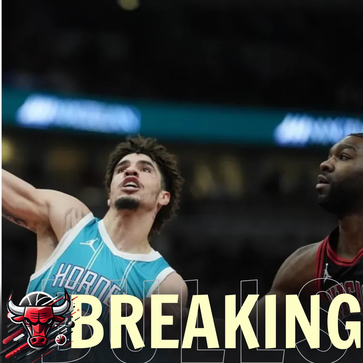 IT'S OVER! CHICAGO'S CODE OF HONOR SHATTERED! LaMelo Ball's ...