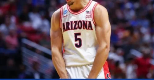 BOMBSHELL IN THE BAY! Warriors just secured a 39% three-point assassin who’s stronger, younger, and hungrier than Klay Thompson ever was at Arizona!